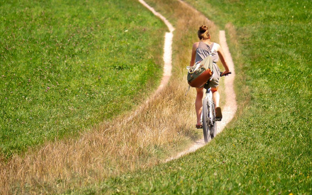 Liderar tu vida conscientemente  ardizzonementoring